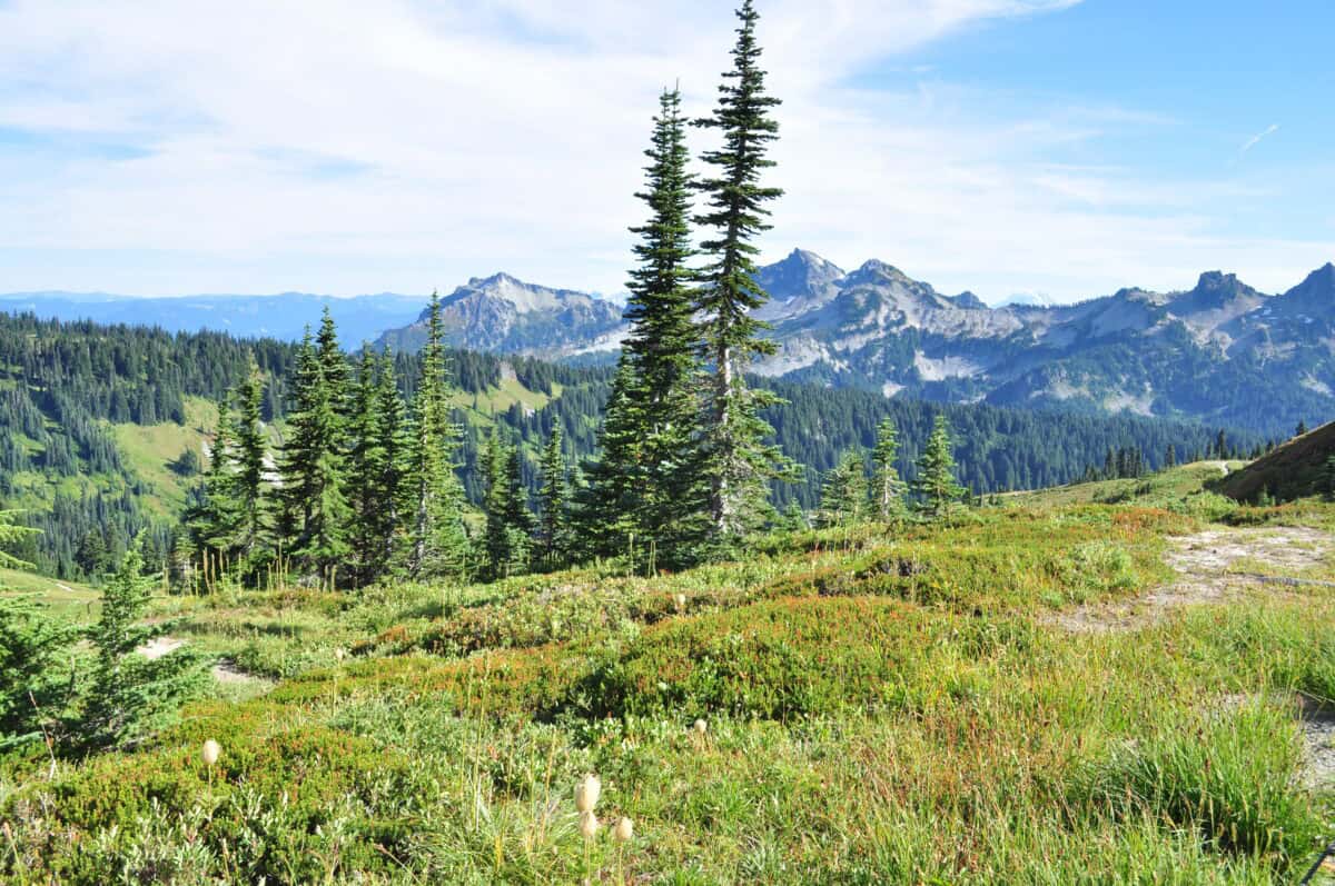 Mount Rainier