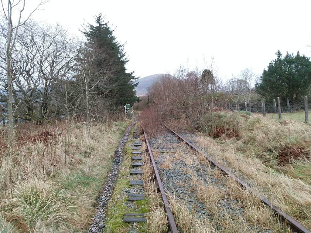Overgrown Railway