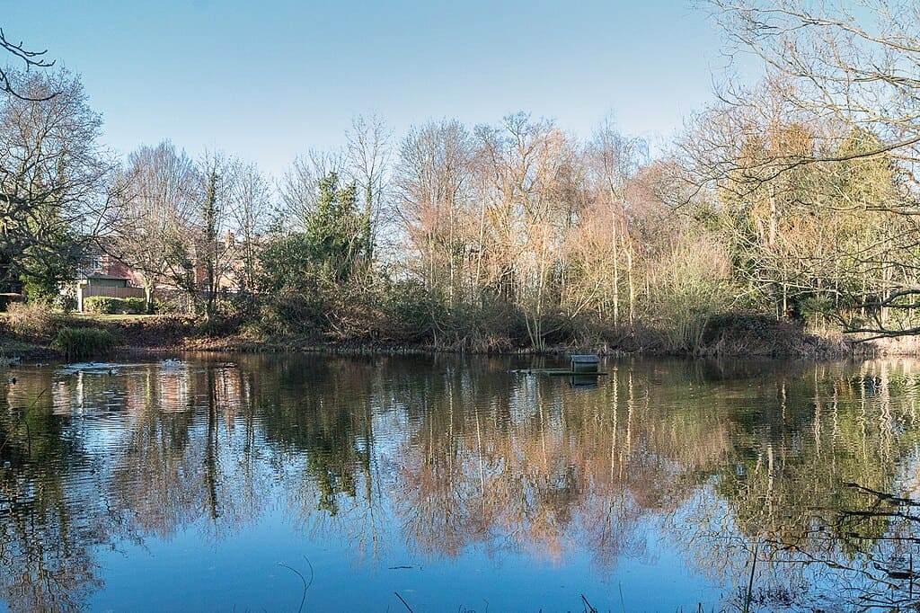 Pond Near Enfield Road, Enfield 