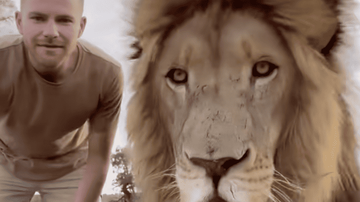 Game Ranger Becomes Social Media Star with His Wild Animal Friends