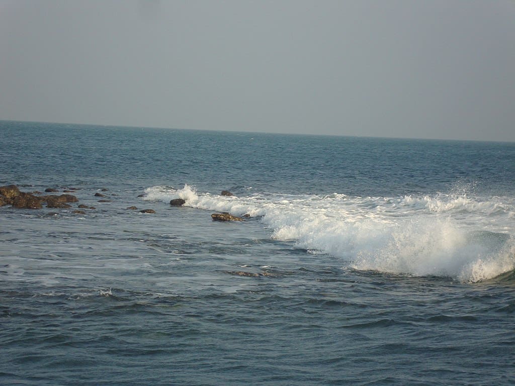 The Wave