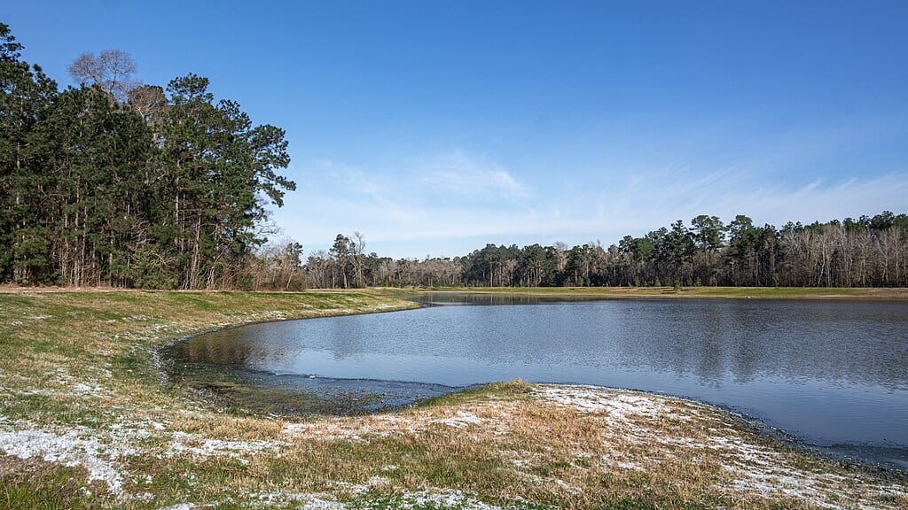 The Texas Winter Storm of 2021