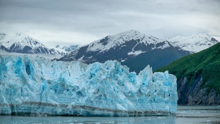 Scientists Warn of Rapid Ice Loss in Alaska’s Glaciers