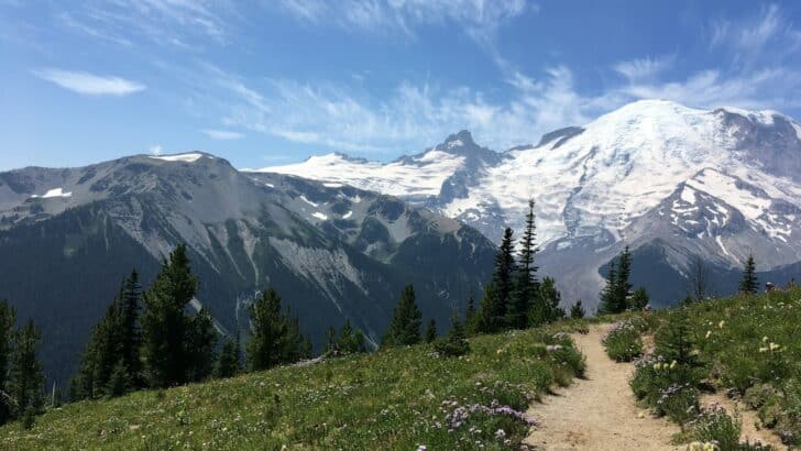 The Best US National Parks for Spring Wildlife Watching