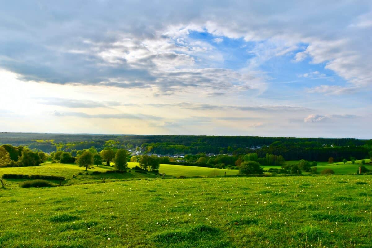 green field