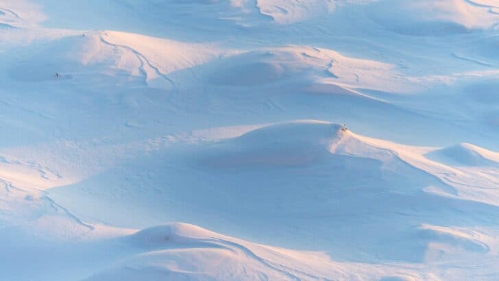 The Deepest Snowfall Ever Recorded in US History