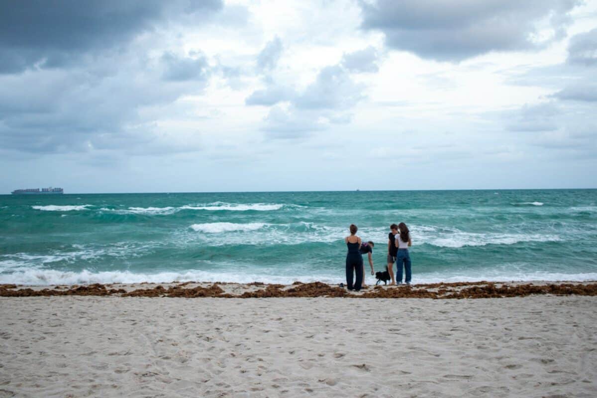 A group of people standing on top of a sandy beach