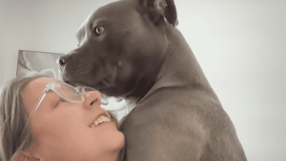 Pittie