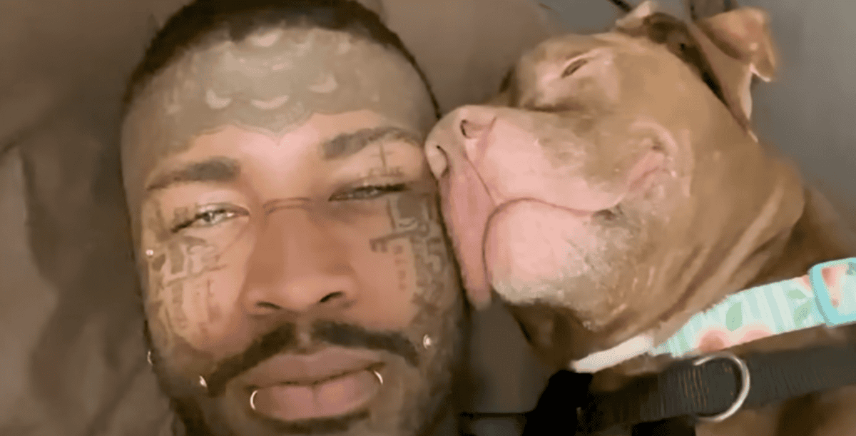 Pitties