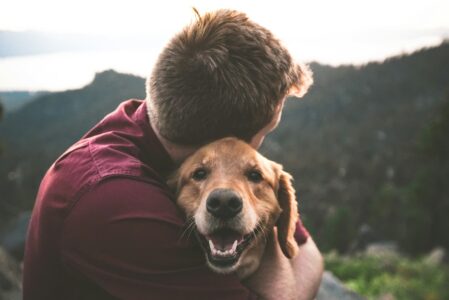 10 Times Dogs Saved Their Owners&rsquo; Lives