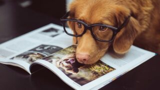 black framed eyeglasses