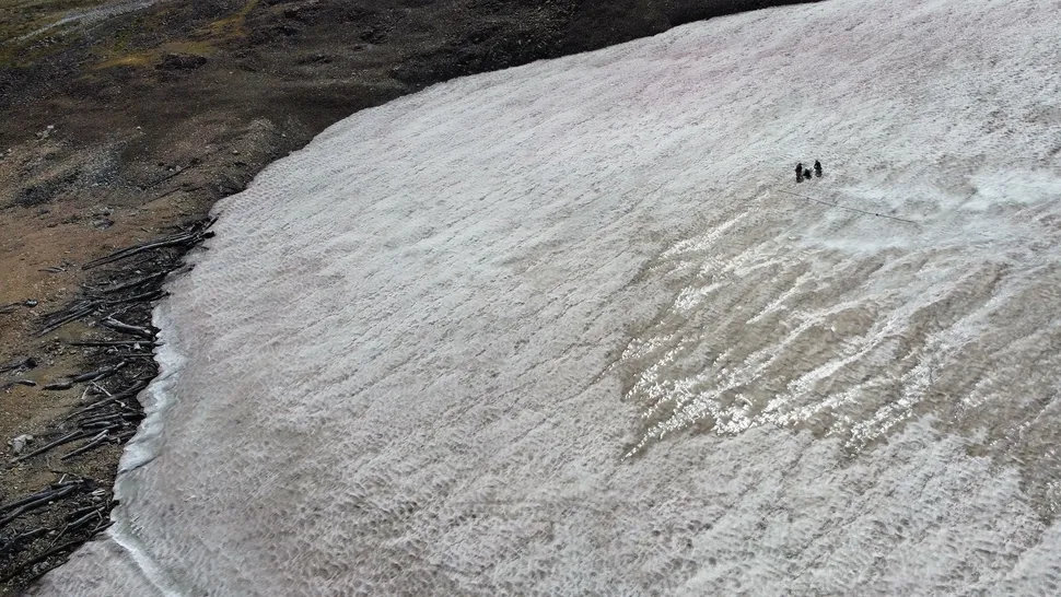 This 6000-year-old Ancient Forest Was Just Discovered Beneath a U.S. Lake in Rocky Mountains
