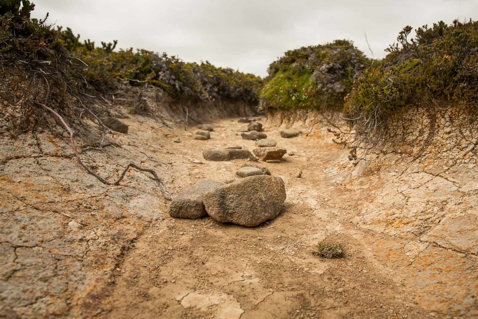 Dried up water tunnel.