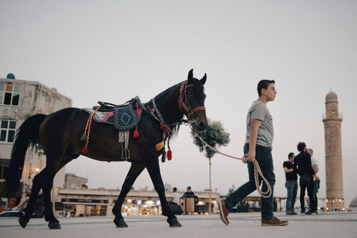 A man leads a horse through a town.