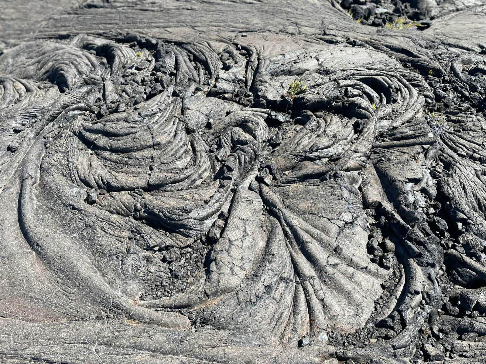 a close up of a rock formation with a lot of rocks in the background