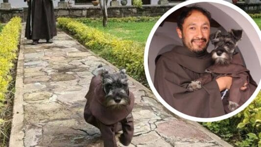 Monks Adopted Stray Dog & Now He&rsquo;s One of Them
