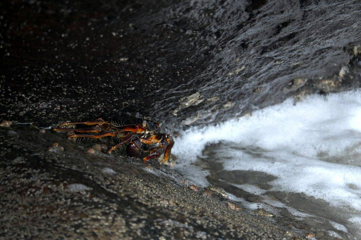A stream of water running into a cave