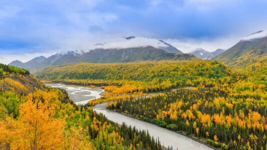 What&rsquo;s So Unique About Alaskan Coastal Wildlife