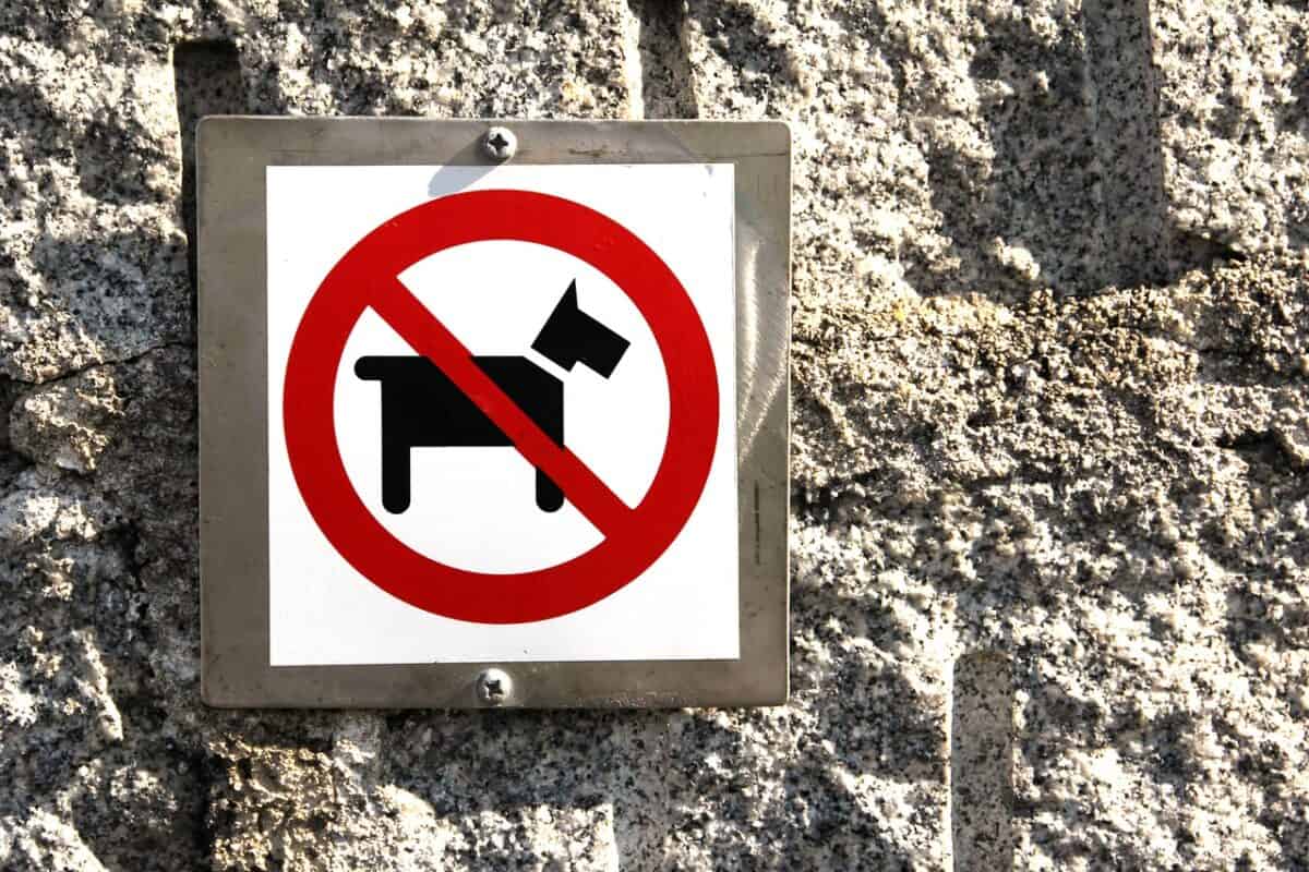 dog, forbidden, ban, information sign, dog ban, pet, prohibitory, no dog toilet, warning, forbidden, forbidden, ban, animal, ban, ban, ban, ban, dog ban, dog ban, dog ban, warning