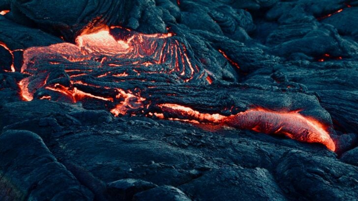 What Happens to Animals After a Volcano Eruption?