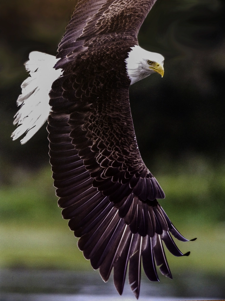 Harsh Environmental Adaptations (image credits: rawpixel)