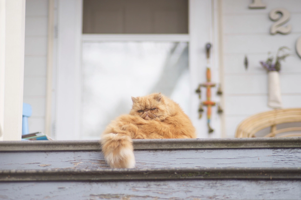 The Door Dilemma (image credits: rawpixel)