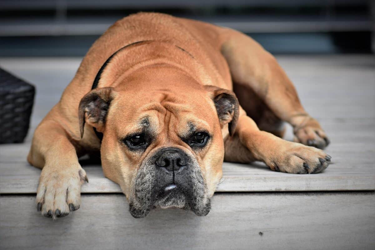 4 Ignoring You or Acting Aloof
