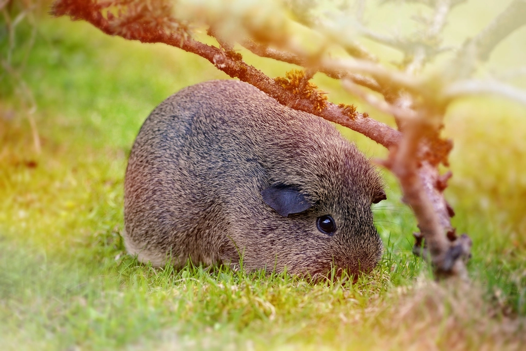 4. Educational for Children (image credits: rawpixel)