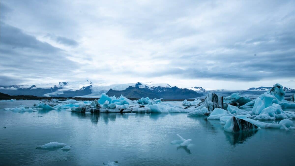Stunning view of Greenland's serene icebergs in Jokulsarlon Lagoon, Iceland.