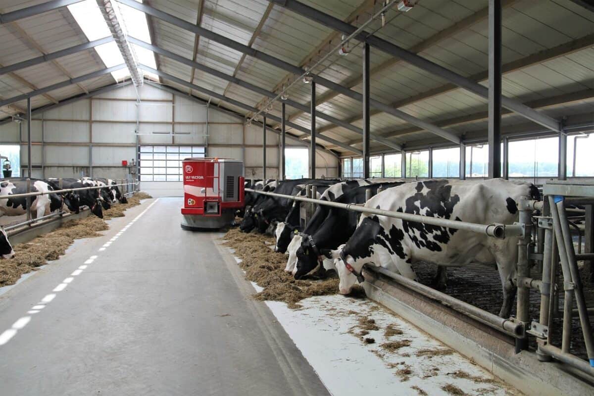 dairy farm, farm, robot, lely, cows, dairy farm, dairy farm, dairy farm, dairy farm, dairy farm
