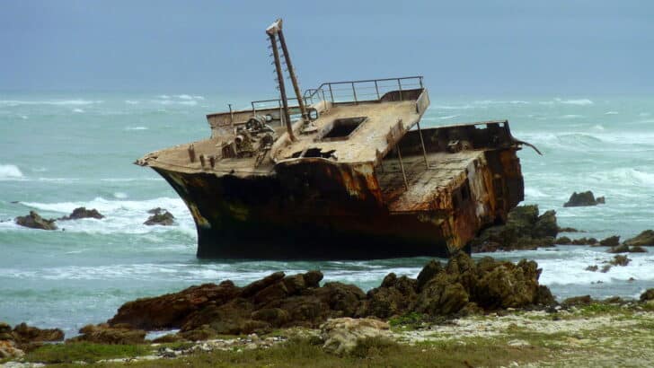 The Ocean Spot Where Ships and Animals Vanish