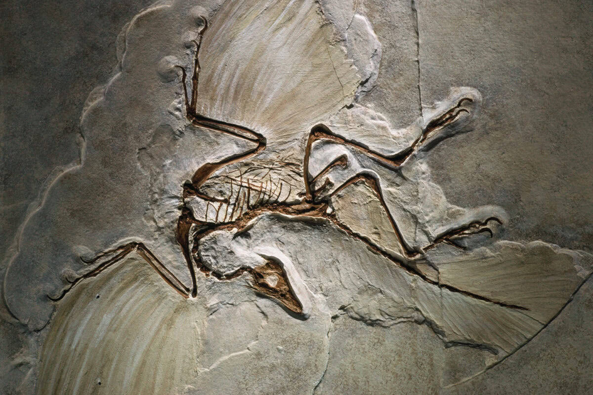 How Ancient DNA Is Helping Us Map - 3705aeb0 De94 405f 84f4 5785f1331b47 1200x800