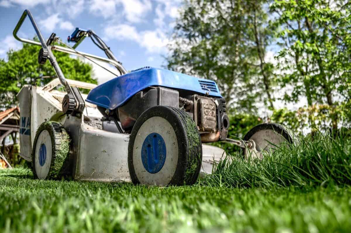 lawn mower, grass, nature, garden, front yard, gardening, lawn-mower chassis, lawn, cutting, gardener, equipment, machine, backyard, mower, maintenance, yard