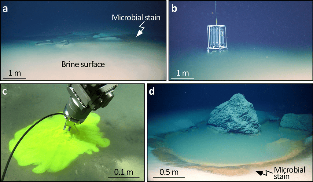 Deep-Sea Brine