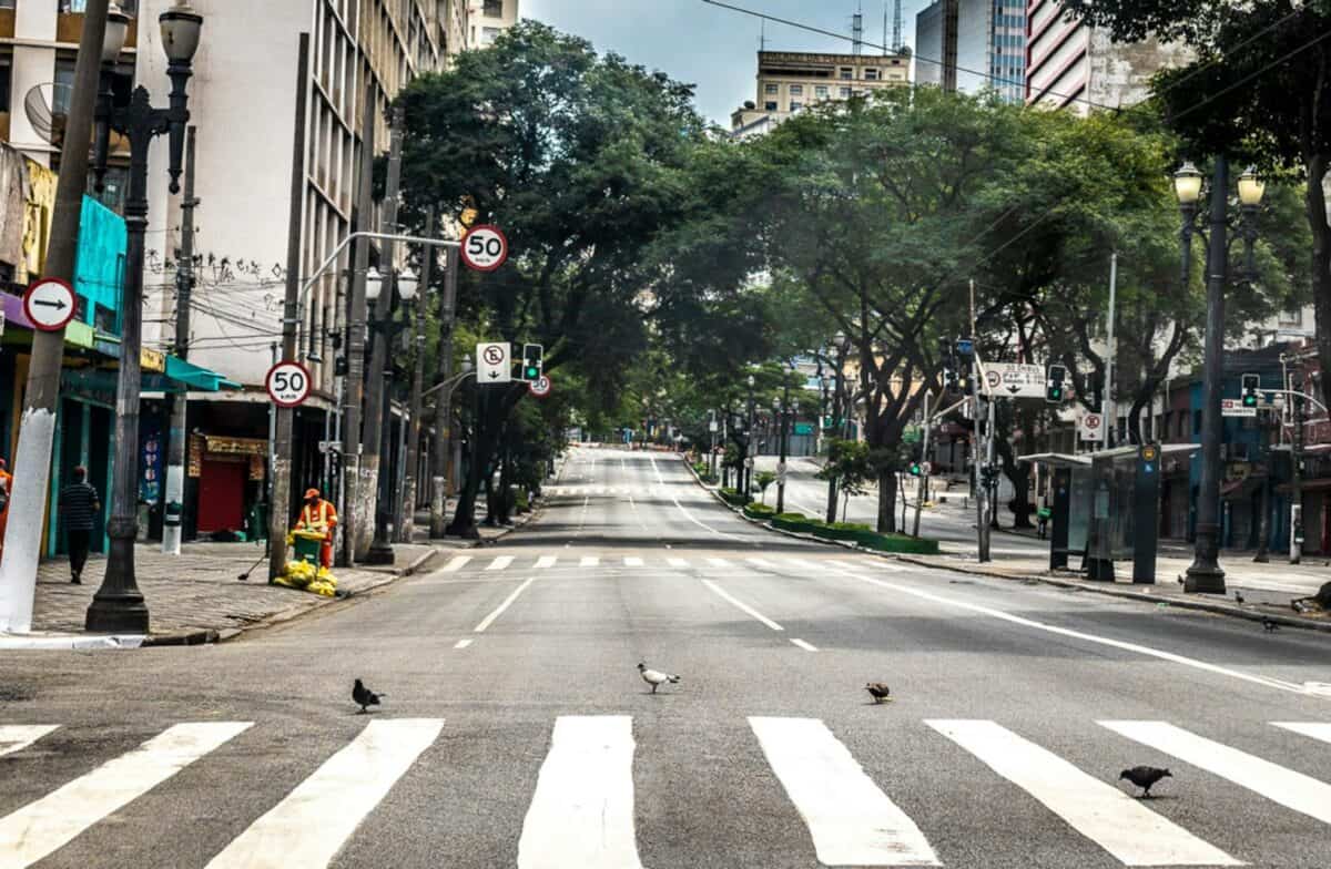 Empty street in São Paulo with birds crossing, showcasing urban tranquility.