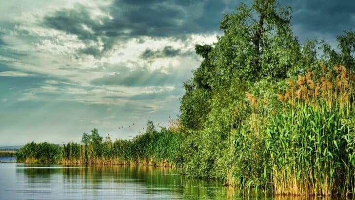Urban Growth Is Draining U.S. Waterways