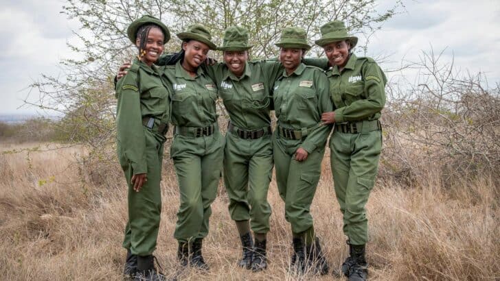 How Rangers Are Protecting Wildlife in Conflict Zones