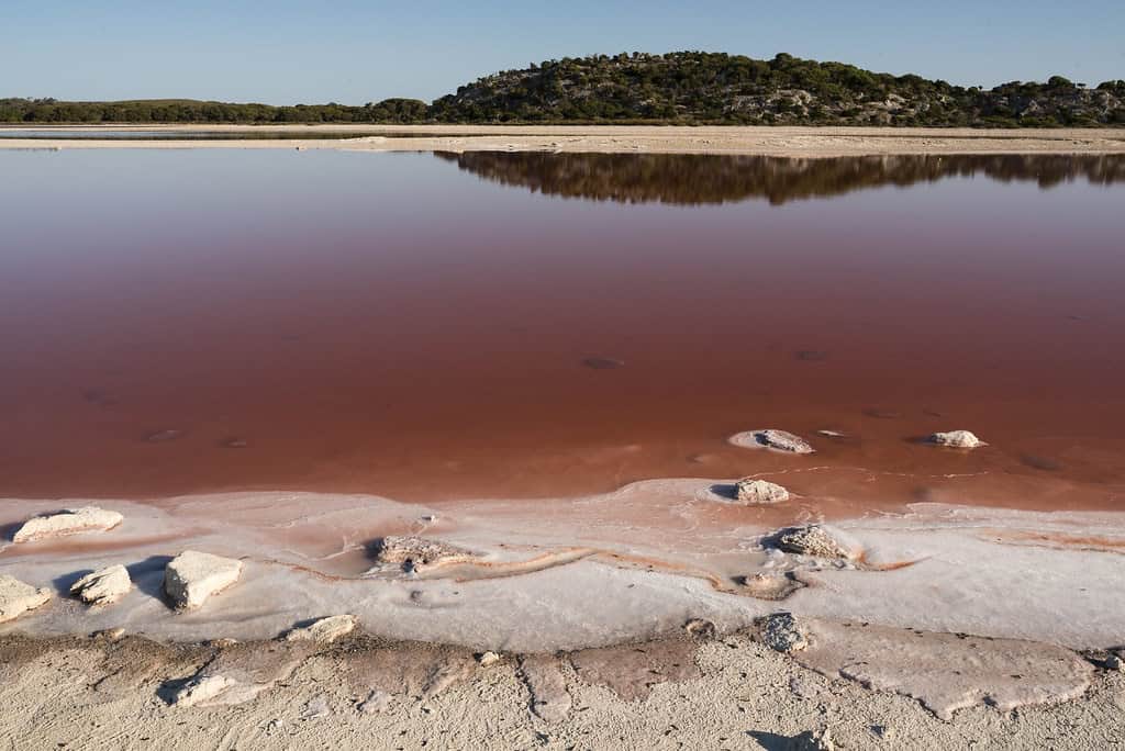 Pink lake