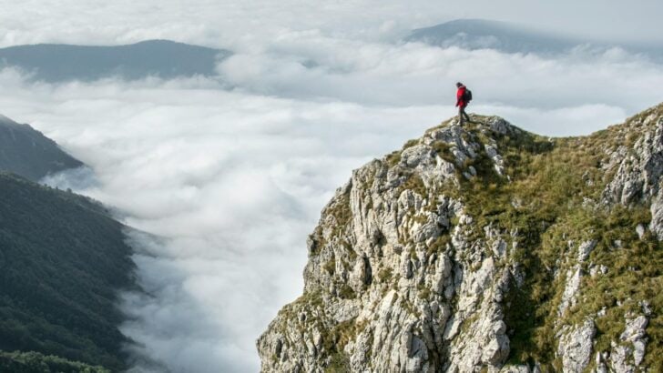 The Most Dangerous Cliffs for Wildlife in the U.S.