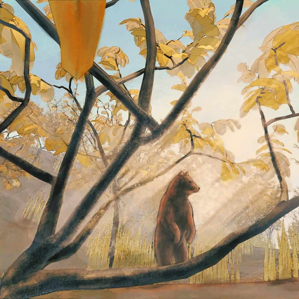 bear, animal, forest, tree, nature, wildlife, sunshine, bear, bear, bear, bear, bear