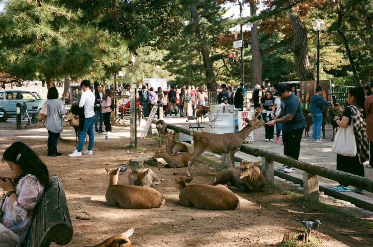 A group of people standing and sitting around a park