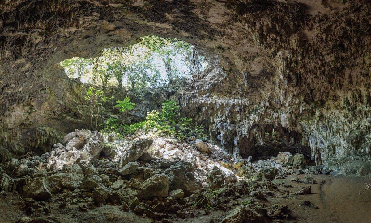 Explore a captivating sunlit cave with lush greenery and rocky formations.