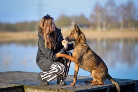 This One Simple Trick Can Help You Befriend Any Stray Dog