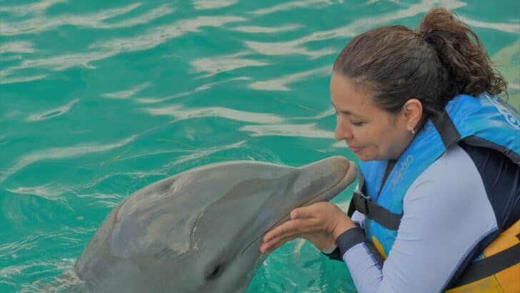 Do Dolphins Really Save Humans?