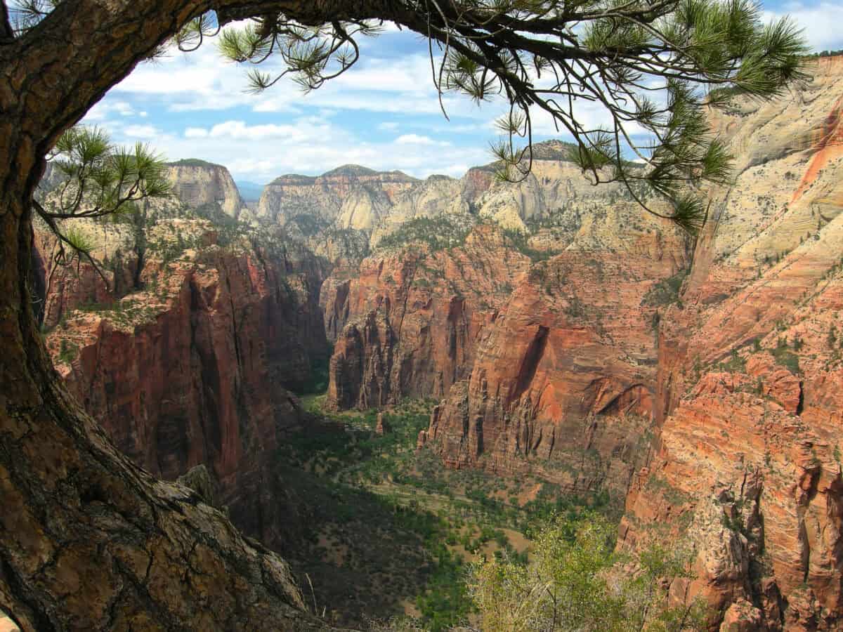 Zion’s Angel's Landing