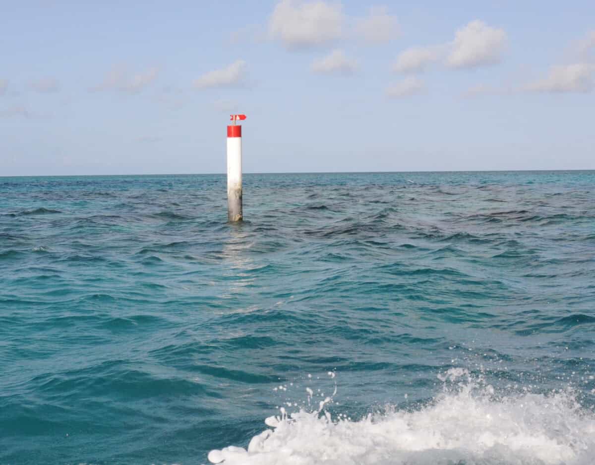 Bermuda reef marker. 