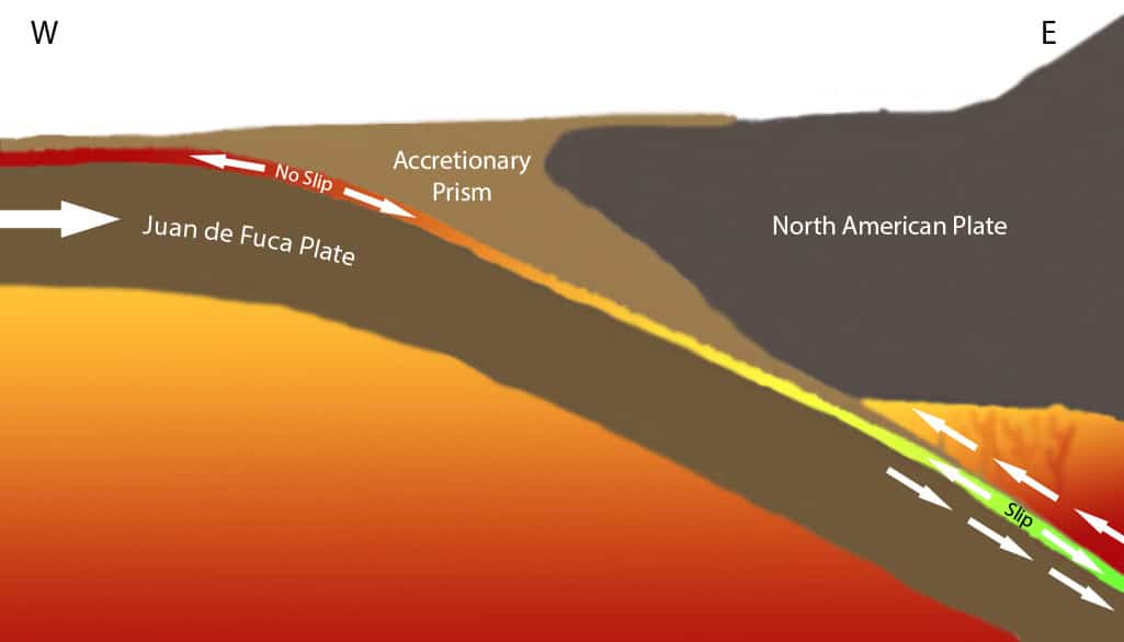 Cascadia Subduction Cross Section