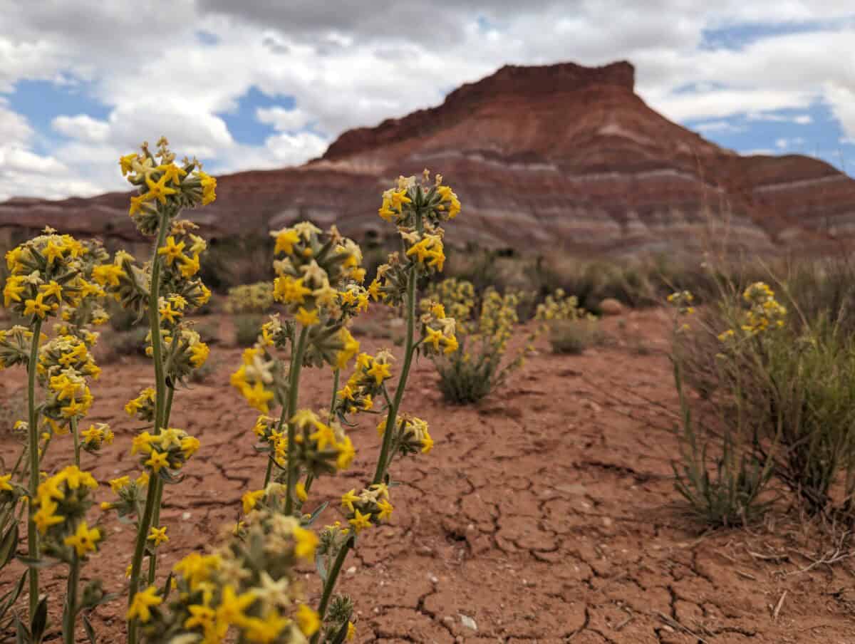 Grand Staircase-Escalante National Monument
