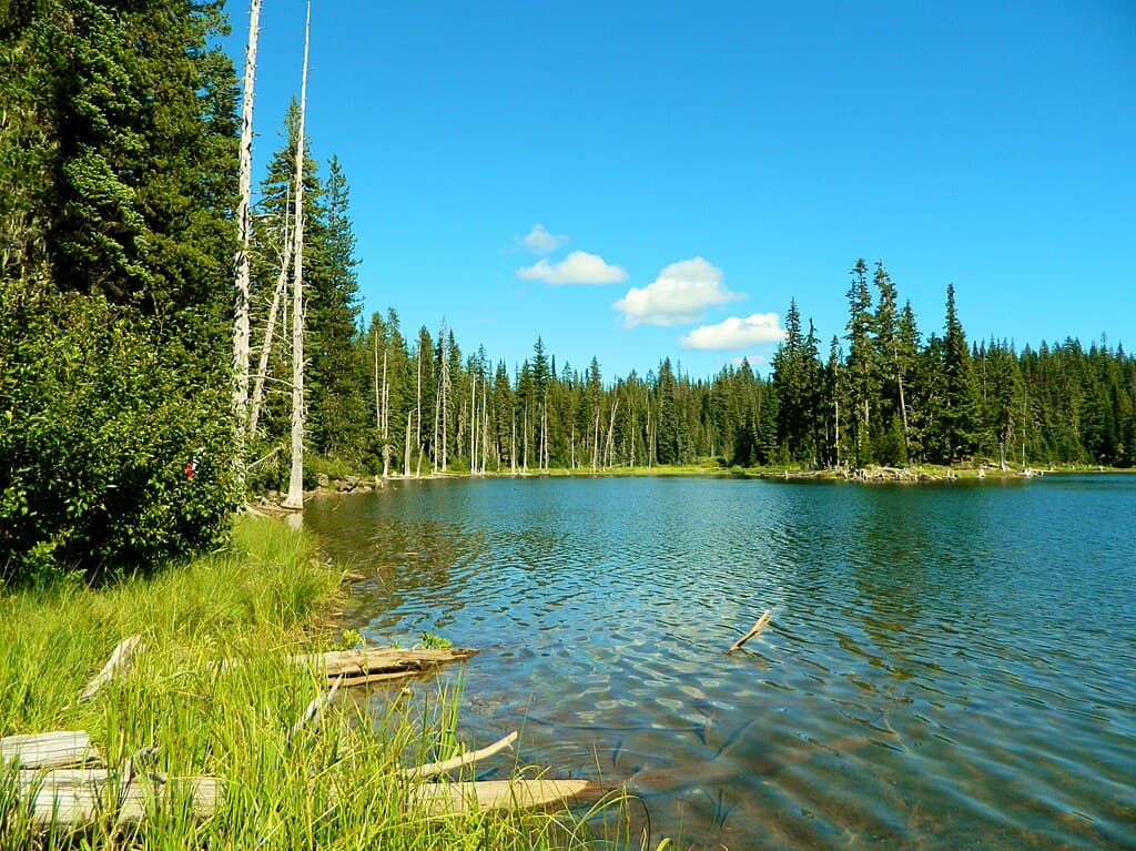 Horseshoe lake