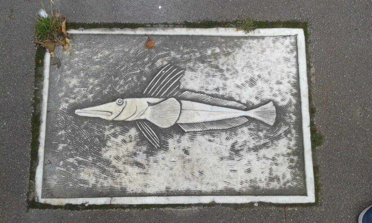 Ice fish